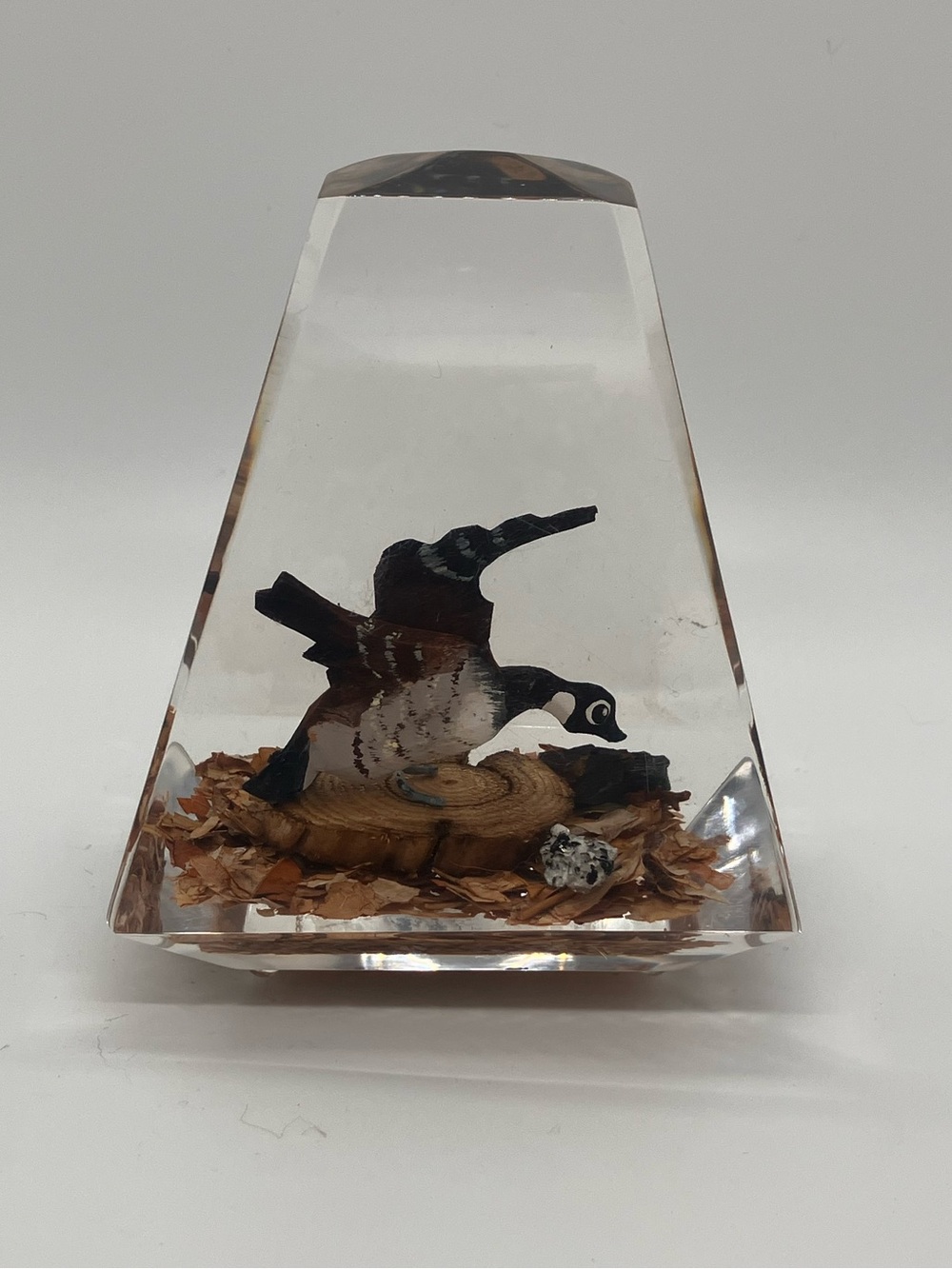 Vtg Lucite Resin Canada Goose Pond Scene Trapezoid Pyramid Paperweight